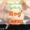 Unique Investment Opportunity, hog farm, pigs