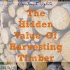 The Hidden Value Of Harvesting Timber , timber industry