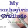 My Thanksgiving Gratitude